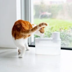 Hoopo® Agua - DRAADLOZE Waterfontein Katten - SMART Waterfontein Katten - UVC Disinfectie - 2 Liter - Automatische Katten Fontein -Kattenbenodigdheden Winkel 1200x1200 865