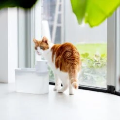 Hoopo® Agua - DRAADLOZE Waterfontein Katten - SMART Waterfontein Katten - UVC Disinfectie - 2 Liter - Automatische Katten Fontein -Kattenbenodigdheden Winkel 1200x1200 866
