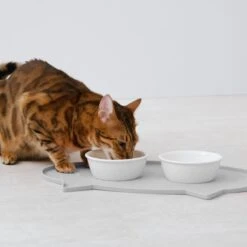Navaris Siliconen Voederbakmat Voor Katten - Waterdichte Anti-slip Mat Voor Voerbak En Waterbak - 50x32 Cm - In Grijs Kattendesign -Kattenbenodigdheden Winkel 1200x1200 870