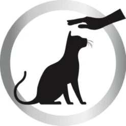 Biokat's Diamond Care Sensitive Classic - 6 L - Kattenbakvulling - Klontvormende - Zonder Geur - Aktieve Kool - Voor Gevoelige Katten -Kattenbenodigdheden Winkel 1200x1200 878