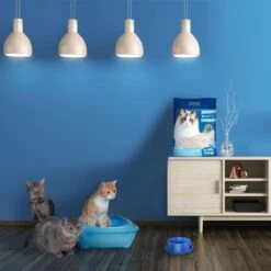 Nobleza 48REM - Tofu Kattenbakvulling - Snel Absorberend - 3.8 L - Klontvormend - 2 Kg 12 Nobleza 48REM - Tofu Kattenbakvulling - Snel Absorberend - 3.8 L - Klontvormend - 2 Kg -Kattenbenodigdheden Winkel 1200x1200 882