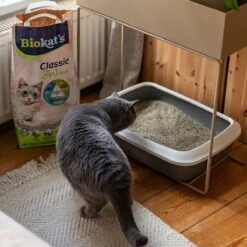 Biokat's Classic Fresh 3in1 - 18 L - Kattenbakvulling - Klontvormend - Lente Geur -Kattenbenodigdheden Winkel 1200x1200 892