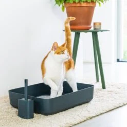 Hoopo® Poh Kattenbak Grijs - Open Kattenbak - Design Kattenbak - Kattenbakschep - 50x37.5x12.7 Cm - Grote Kattenbak -Kattenbenodigdheden Winkel 1200x1200 894