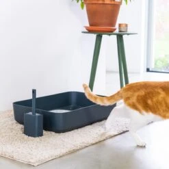 Hoopo® Poh Kattenbak Grijs - Open Kattenbak - Design Kattenbak - Kattenbakschep - 50x37.5x12.7 Cm - Grote Kattenbak -Kattenbenodigdheden Winkel 1200x1200 897