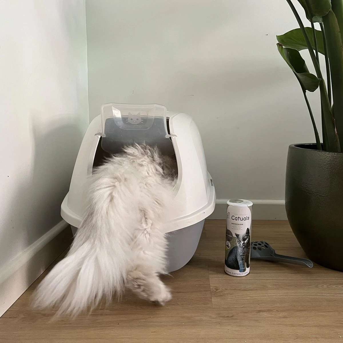Catuals Kattenbakvulling Geurverdrijver - Neutraliseert Urinegeur Van Katten - Cotton Fresh - 500g 4 Catuals Kattenbakvulling Geurverdrijver - Neutraliseert Urinegeur Van Katten - Cotton Fresh - 500g - Afbeelding 4