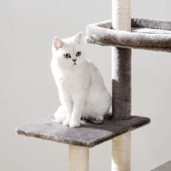 Signature Home Catty Krabpaal Met Kattenbak - Kattenbakkast - Kattenhuis Met Deur En Slot - Krabpalen Met Hangmat Mand Katten Huis - Kattenbakmeubel Verborgen - Alles-in-één Kattenspeelgoed Met Kattenhuis - Grijs - 60cm X 150cm X 48cm 19 Signature Home Catty Krabpaal Met Kattenbak - Kattenbakkast - Kattenhuis Met Deur En Slot - Krabpalen Met Hangmat Mand Katten Huis - Kattenbakmeubel Verborgen - Alles-in-één Kattenspeelgoed Met Kattenhuis - Grijs - 60cm X 150cm X 48cm -Kattenbenodigdheden Winkel 1200x1200 938