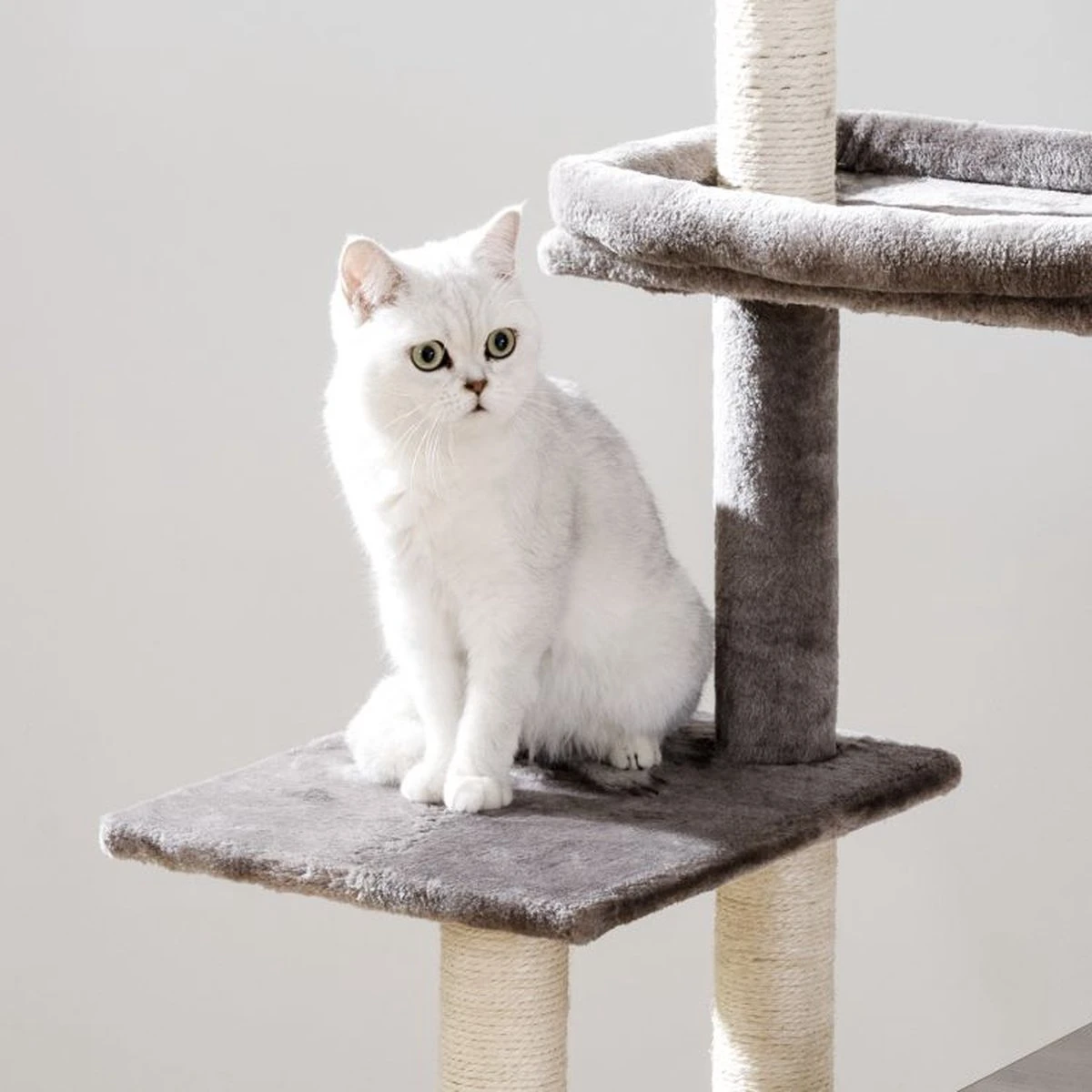 Signature Home Catty Krabpaal Met Kattenbak - Kattenbakkast - Kattenhuis Met Deur En Slot - Krabpalen Met Hangmat Mand Katten Huis - Kattenbakmeubel Verborgen - Alles-in-één Kattenspeelgoed Met Kattenhuis - Grijs - 60cm X 150cm X 48cm 8 Signature Home Catty Krabpaal Met Kattenbak - Kattenbakkast - Kattenhuis Met Deur En Slot - Krabpalen Met Hangmat Mand Katten Huis - Kattenbakmeubel Verborgen - Alles-in-één Kattenspeelgoed Met Kattenhuis - Grijs - 60cm X 150cm X 48cm - Afbeelding 8