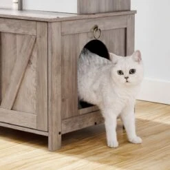 Signature Home Catty Krabpaal Met Kattenbak - Kattenbakkast - Kattenhuis Met Deur En Slot - Krabpalen Met Hangmat Mand Katten Huis - Kattenbakmeubel Verborgen - Alles-in-één Kattenspeelgoed Met Kattenhuis - Grijs - 60cm X 150cm X 48cm 22 Signature Home Catty Krabpaal Met Kattenbak - Kattenbakkast - Kattenhuis Met Deur En Slot - Krabpalen Met Hangmat Mand Katten Huis - Kattenbakmeubel Verborgen - Alles-in-één Kattenspeelgoed Met Kattenhuis - Grijs - 60cm X 150cm X 48cm -Kattenbenodigdheden Winkel 1200x1200 941