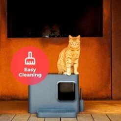 Hoopo® Dome Plus Kattenbak Grijs - Kattenbak - Kattenbakschep - 50x37.5x38cm - Grote Kattenbak -Kattenbenodigdheden Winkel 1200x1200 943