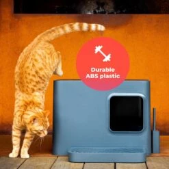 Hoopo® Dome Plus Kattenbak Grijs - Kattenbak - Kattenbakschep - 50x37.5x38cm - Grote Kattenbak -Kattenbenodigdheden Winkel 1200x1200 944