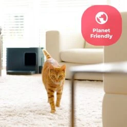 Hoopo® Dome Plus Kattenbak Grijs - Kattenbak - Kattenbakschep - 50x37.5x38cm - Grote Kattenbak -Kattenbenodigdheden Winkel 1200x1200 945