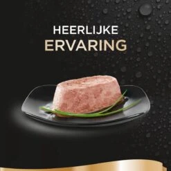Sheba Perfect Portions Paté Katten Natvoer - Zalm - 48 Stuks -Kattenbenodigdheden Winkel 1200x1200 95