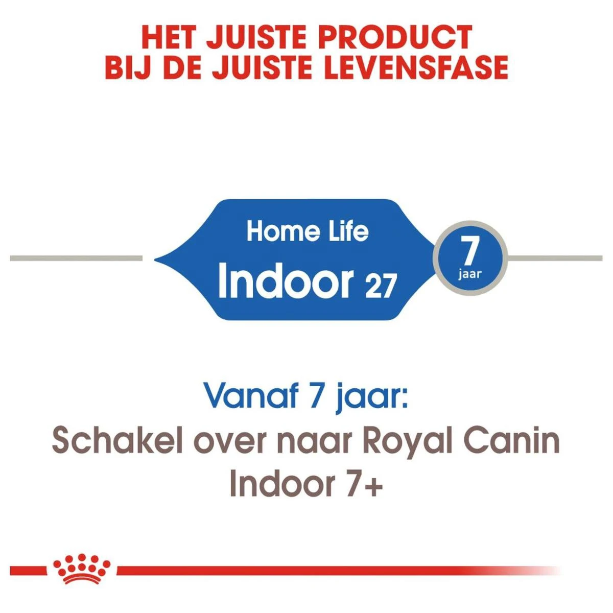 Royal Canin Indoor 27 - Kattenvoer - 4 Kg 11 Royal Canin Indoor 27 - Kattenvoer - 4 Kg - Afbeelding 11