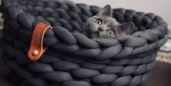 Djambo Kattenmanden, Gevlochten En Zachte Kattenbed, Comfortabel En Warm. -Kattenbenodigdheden Winkel 1200x600 2
