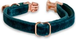 ACE Pets Kattenhalsband Met Belletje – Halsband Kat & Kitten - Kittenhalsband & Kattenbandje - Kattenbelletje - Pluche Velvet - Groen -Kattenbenodigdheden Winkel 1200x611 6