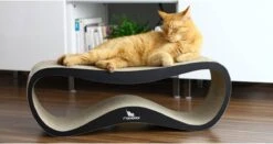 MyKotty LUI - Krabpaal - Zwart - 75cm X 25cm -Kattenbenodigdheden Winkel 1200x638 1