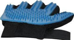 Merkloos Verzorgingsborstel - Zwart/Blauw - 1 Maat - Rechtshandig 12 Merkloos Verzorgingsborstel - Zwart/Blauw - 1 Maat - Rechtshandig -Kattenbenodigdheden Winkel 1200x652 5