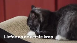 Snoozle Loop Krabpaal Voor Katten - Zwart - 86cm - Krabmeubel Voor Grote Katten - Karton -Kattenbenodigdheden Winkel 1200x675 4