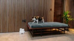 Cat Mate - Waterfontein Kat - Kattenfontein - Drinkfontein Kat - Fluisterstil - Poezen Fontein - Dieren Drinkbakken - Honden Fontein - 2 L -Kattenbenodigdheden Winkel 1200x675 5