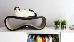 MyKotty LUI - Krabpaal - Zwart - 75cm X 25cm -Kattenbenodigdheden Winkel 1200x678 2