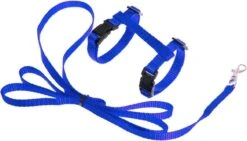 Kattentuigje Met Looplijn Kattenharnas Katten Riem Met Looplijn Kat Verstelbaar - Blauw