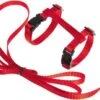 Kattentuigje Met Looplijn Kattenharnas Katten Riem Met Looplijn Kat Verstelbaar - Rood
