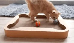 Cheerble Mini Ball 2.0 - Slimme Interactieve Zelf Rollende Bal Voor Katten - 3 Speelmodi - Kattenspeeltjes - USB Oplaadbaar - Rood -Kattenbenodigdheden Winkel 1200x699
