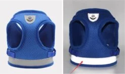 Merkloos Verstelbaar Kattentuigje Reflecterend - Kattenharnas - Kattentuig Met Looplijn - Blauw - Maat S 11 Merkloos Verstelbaar Kattentuigje Reflecterend - Kattenharnas - Kattentuig Met Looplijn - Blauw - Maat S -Kattenbenodigdheden Winkel 1200x708 2