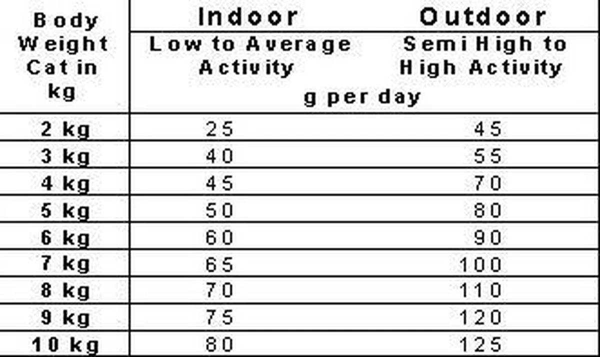 Smolke Adult Fish & Rice 4 Kg - Kat 17 Smolke Adult Fish & Rice 4 Kg - Kat - Afbeelding 17