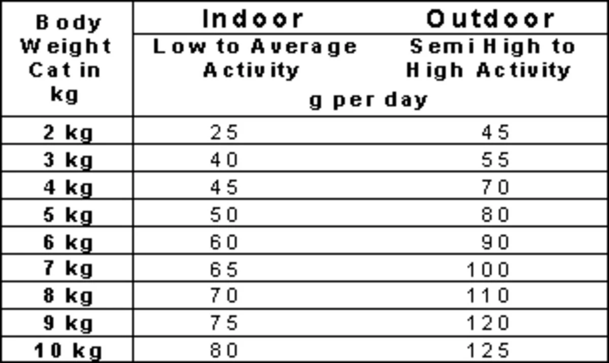 Smolke Adult Fish & Rice 4 Kg - Kat 6 Smolke Adult Fish & Rice 4 Kg - Kat - Afbeelding 6
