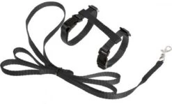 Kattentuigje Met Looplijn Kattenharnas Kittentuigje Kattenriem Met Looplijn Kat Kitten Tuigje Verstelbaar - Zwart