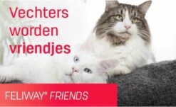 Feliway Friends - Startset - 1 Verdamper Met 1 Vulling - 48 Ml - Anti-conflict Voor Katten -Kattenbenodigdheden Winkel 1200x735