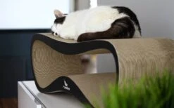 MyKotty LUI - Krabpaal - Zwart - 75cm X 25cm -Kattenbenodigdheden Winkel 1200x746 2