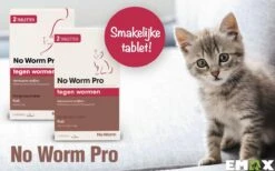 No Worm Pro Kat & Kitten - Anti Wormenmiddel - 2 X 2 Tab Vanaf 0.5 Kg Vanaf 6 Weken -Kattenbenodigdheden Winkel 1200x750