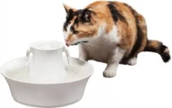 Petsafe Drinkwell Ceramic Avalon - Drinkfontein - 2 L -Kattenbenodigdheden Winkel 1200x754