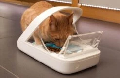 Surefeed Microchip Pet Feeder - Voerbak - 30 X 23 X 22 Cm -Kattenbenodigdheden Winkel 1200x780 1