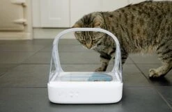 Surefeed Microchip Pet Feeder - Voerbak - 30 X 23 X 22 Cm -Kattenbenodigdheden Winkel 1200x780 3