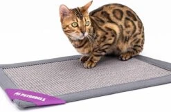 Petrebels Mastermat 60 Katten Krabmat - Grijs - 60 X 40 Cm - Zeer Sterk 21 Petrebels Mastermat 60 Katten Krabmat - Grijs - 60 X 40 Cm - Zeer Sterk -Kattenbenodigdheden Winkel 1200x788