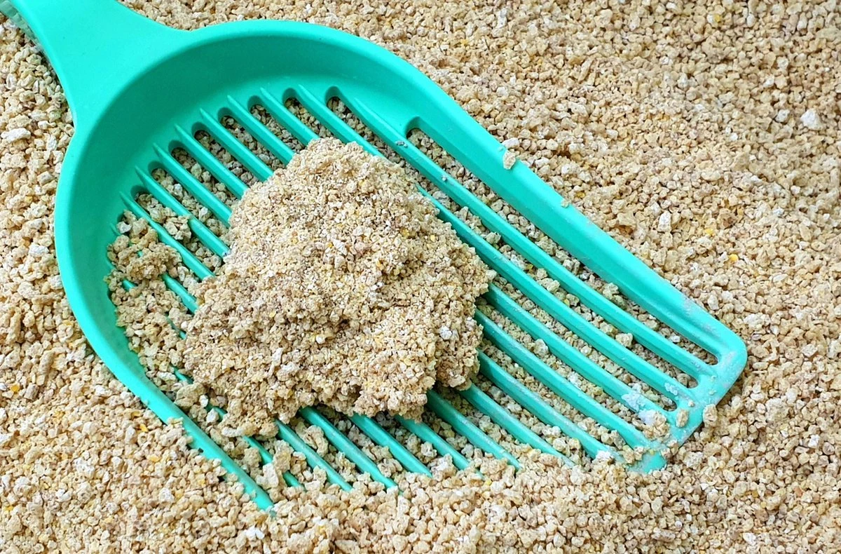 Merkloos GrainCat Composteerbare Kattenbakvulling Klontvormend 24L 2 Merkloos GrainCat Composteerbare Kattenbakvulling Klontvormend 24L - Afbeelding 2