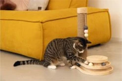 Designed By Lotte Krabpaal Inez 38 X 24,5 X 47,5 Cm -Kattenbenodigdheden Winkel 1200x799 10