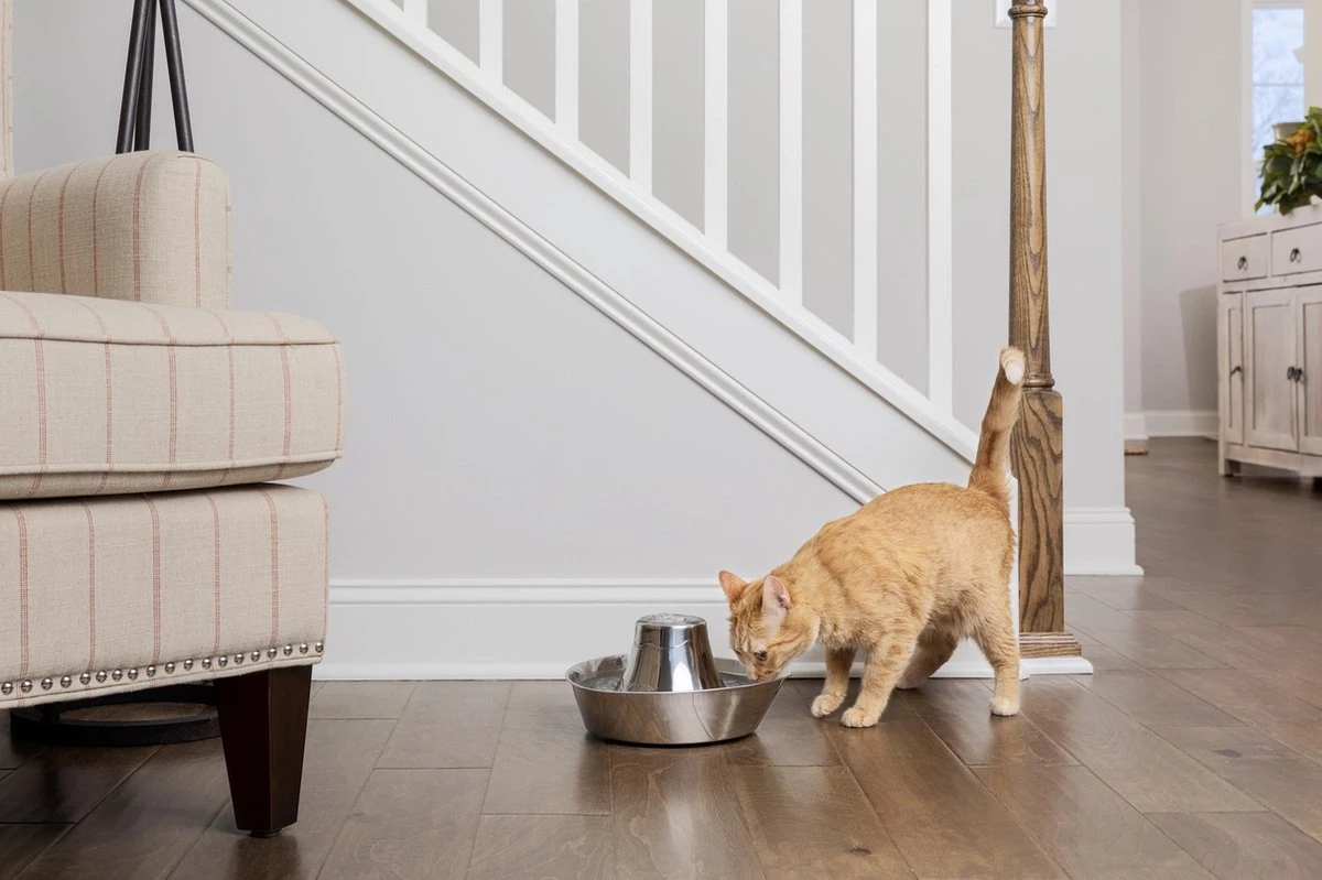 PetSafe® Seaside Stainless Steel Pet Fountain - RVS Drinkfontein Voor Katten En Kleine Honden - Water Borrelt Zacht Over De Toren - Door Het Design Van Alle Kanten Bereikbaar - 1,8 Liter - PetSafe Seaside 2 PetSafe® Seaside Stainless Steel Pet Fountain - RVS Drinkfontein Voor Katten En Kleine Honden - Water Borrelt Zacht Over De Toren - Door Het Design Van Alle Kanten Bereikbaar - 1,8 Liter - PetSafe Seaside - Afbeelding 2