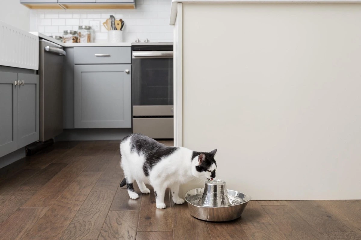 PetSafe® Seaside Stainless Steel Pet Fountain - RVS Drinkfontein Voor Katten En Kleine Honden - Water Borrelt Zacht Over De Toren - Door Het Design Van Alle Kanten Bereikbaar - 1,8 Liter - PetSafe Seaside 6 PetSafe® Seaside Stainless Steel Pet Fountain - RVS Drinkfontein Voor Katten En Kleine Honden - Water Borrelt Zacht Over De Toren - Door Het Design Van Alle Kanten Bereikbaar - 1,8 Liter - PetSafe Seaside - Afbeelding 6