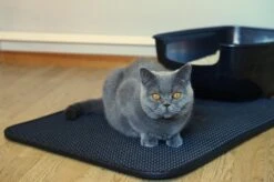 Merkloos Tastelio XXL Kattenbakmat 75x55cm - Groot Kattenbak Mat Met Innovatieve Honingraatstructuur - Dubbele Waterdichte Laag - Katten Bak Mat Met Eenvoudige Reiniging Grit Opvanger 21 Merkloos Tastelio XXL Kattenbakmat 75x55cm - Groot Kattenbak Mat Met Innovatieve Honingraatstructuur - Dubbele Waterdichte Laag - Katten Bak Mat Met Eenvoudige Reiniging Grit Opvanger -Kattenbenodigdheden Winkel 1200x799 24