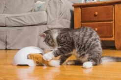 FroliCat Vossenhol - Automatische Kattenplager - Kattenspeelgoed -Kattenbenodigdheden Winkel 1200x799 3