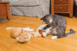 FroliCat Vossenhol - Automatische Kattenplager - Kattenspeelgoed -Kattenbenodigdheden Winkel 1200x800