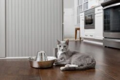 PetSafe® Seaside Stainless Steel Pet Fountain - RVS Drinkfontein Voor Katten En Kleine Honden - Water Borrelt Zacht Over De Toren - Door Het Design Van Alle Kanten Bereikbaar - 1,8 Liter - PetSafe Seaside 11 PetSafe® Seaside Stainless Steel Pet Fountain - RVS Drinkfontein Voor Katten En Kleine Honden - Water Borrelt Zacht Over De Toren - Door Het Design Van Alle Kanten Bereikbaar - 1,8 Liter - PetSafe Seaside -Kattenbenodigdheden Winkel 1200x800 64