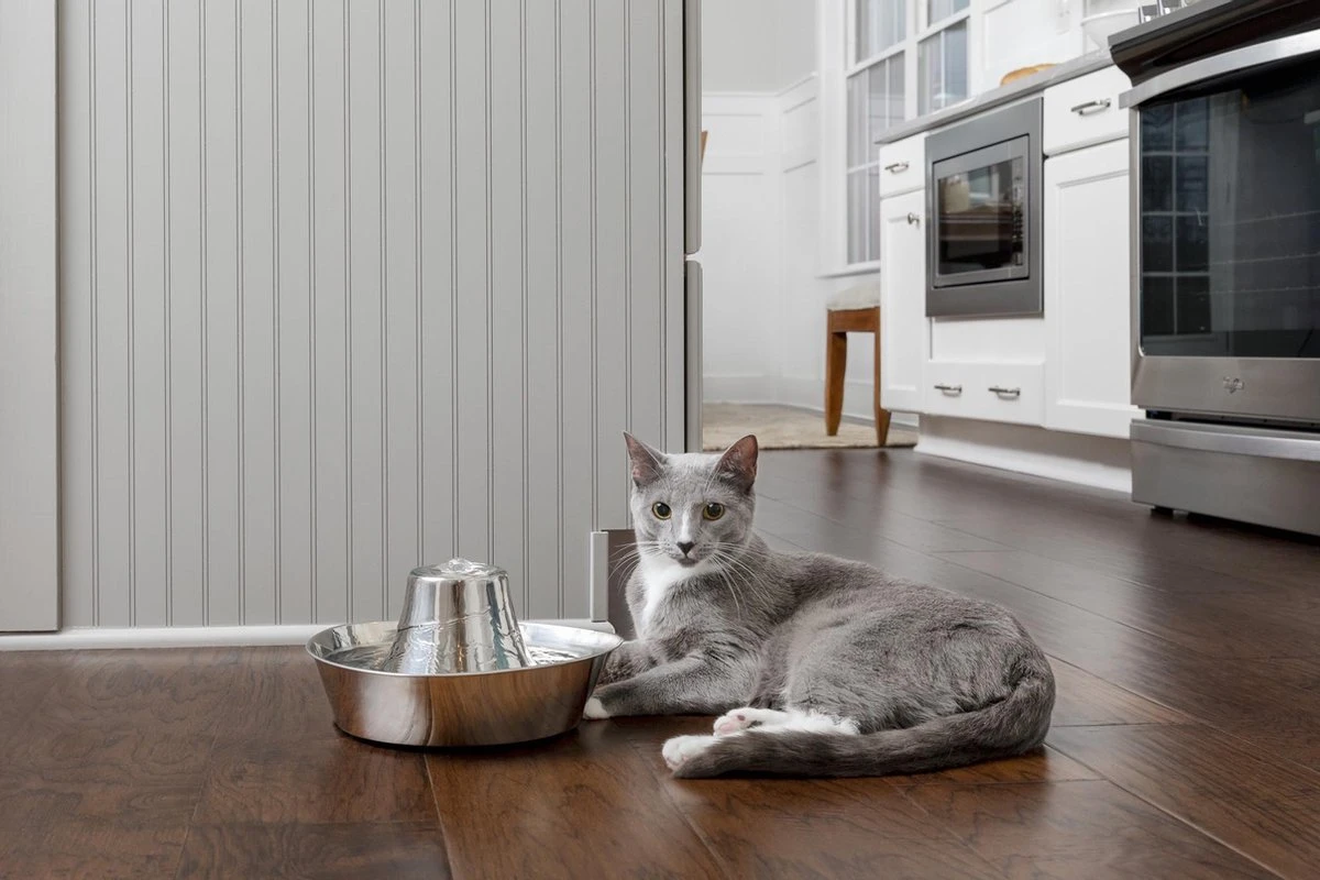 PetSafe® Seaside Stainless Steel Pet Fountain - RVS Drinkfontein Voor Katten En Kleine Honden - Water Borrelt Zacht Over De Toren - Door Het Design Van Alle Kanten Bereikbaar - 1,8 Liter - PetSafe Seaside 5 PetSafe® Seaside Stainless Steel Pet Fountain - RVS Drinkfontein Voor Katten En Kleine Honden - Water Borrelt Zacht Over De Toren - Door Het Design Van Alle Kanten Bereikbaar - 1,8 Liter - PetSafe Seaside - Afbeelding 5