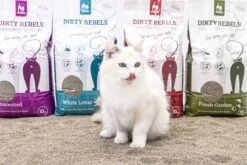 Dirty Rebels Kattenbakvulling - 10 L - Geurloos / Zonder Geur - Sterk Klontvormend - Stofvrij - 100% Natuurlijk - Premium Kwaliteit Van Petrebels 10 Dirty Rebels Kattenbakvulling - 10 L - Geurloos / Zonder Geur - Sterk Klontvormend - Stofvrij - 100% Natuurlijk - Premium Kwaliteit Van Petrebels -Kattenbenodigdheden Winkel 1200x800 71