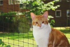 Nobby Kattennet Voor Balkon - 2 X 3 Meter