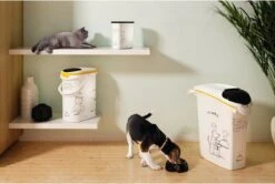 Curver Voedselcontainer Kat - 35 L -Kattenbenodigdheden Winkel 1200x805 1